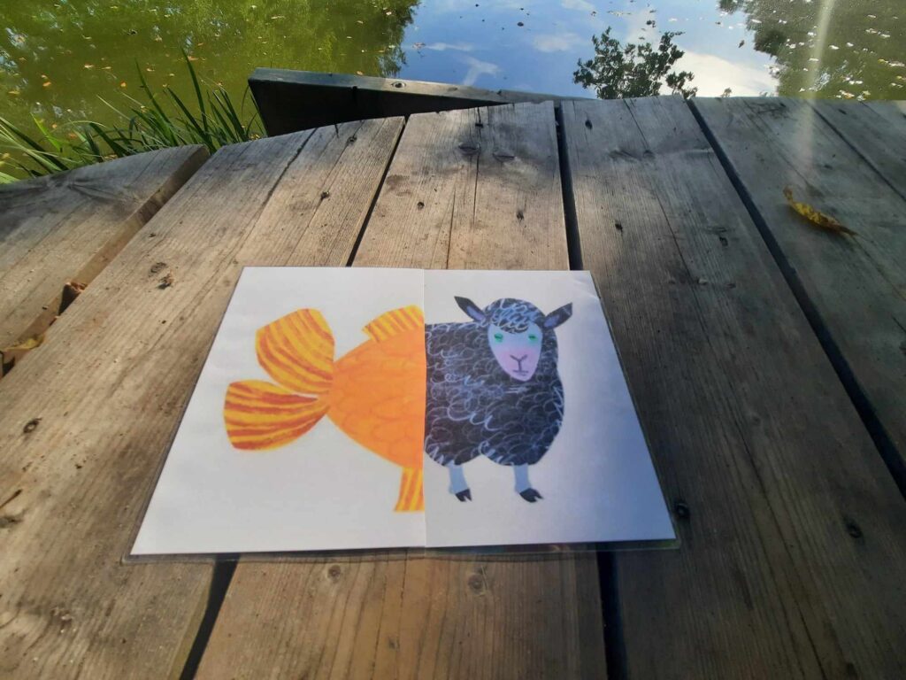 fiszki z owcą i rybą z książki brown bear