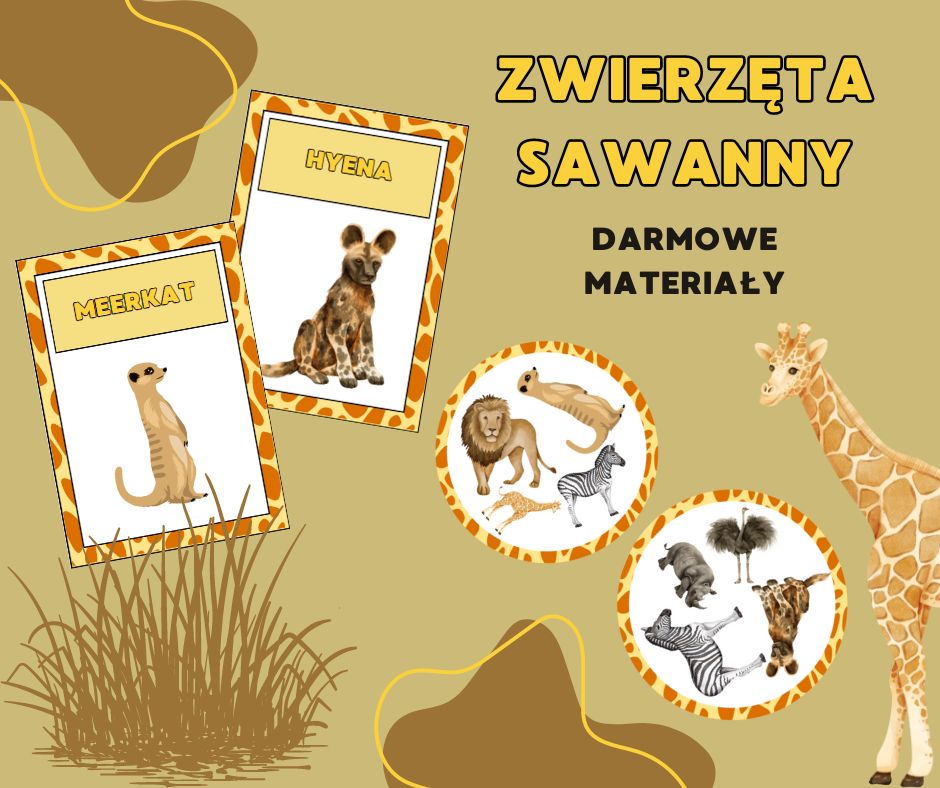 zwierzęta sawanny